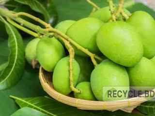 kannca-am-gach-theke