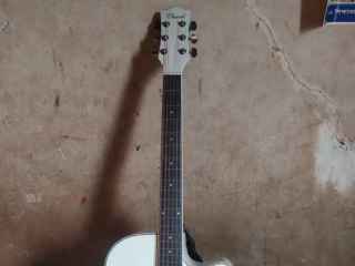 guitar-for-sale-model-chard-ea12