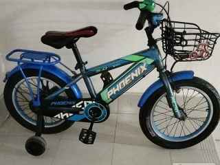 bicycle-for-kids-saij-16-all-ok